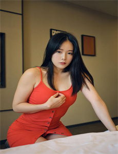 庇护所 2014