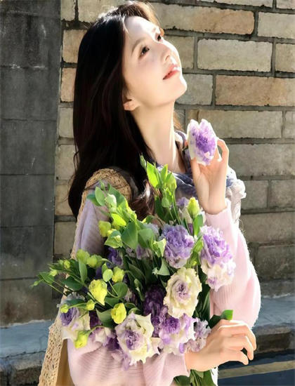 《染霜何妨登岳岱》故事脉络梳理：主线与支线情节完整解读，4K超清